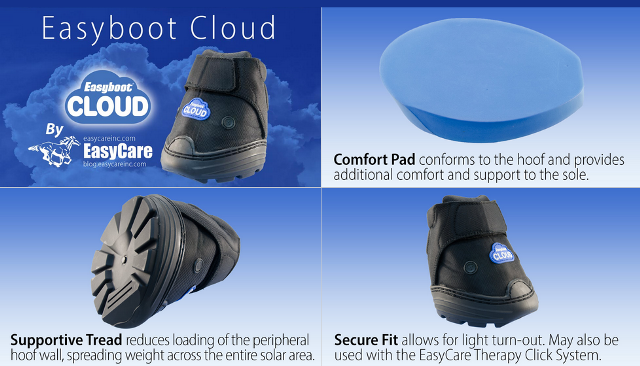 cloud boot rehab system